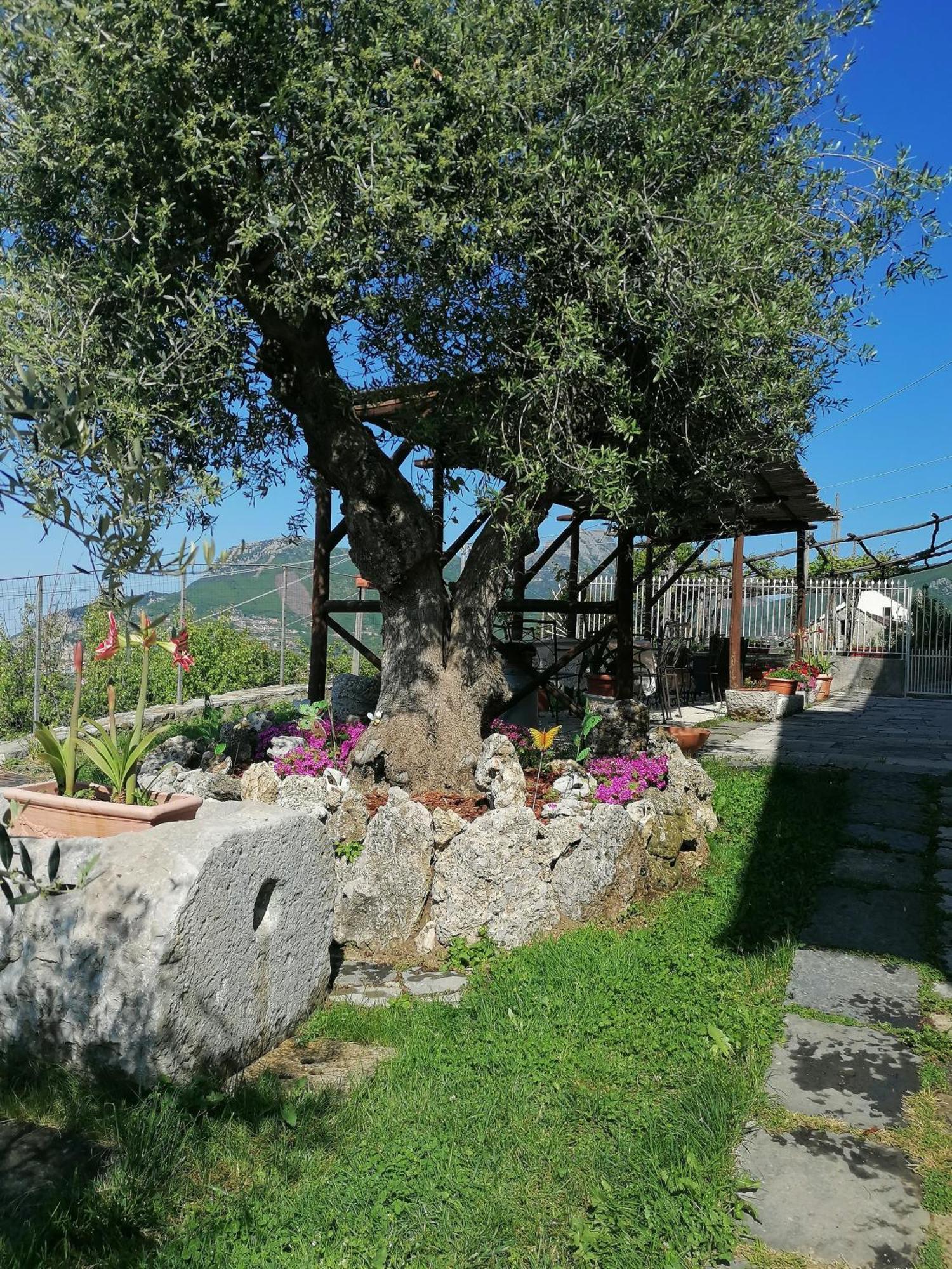 Bed and Breakfast Il Casale Del Generale Аджерола Экстерьер фото
